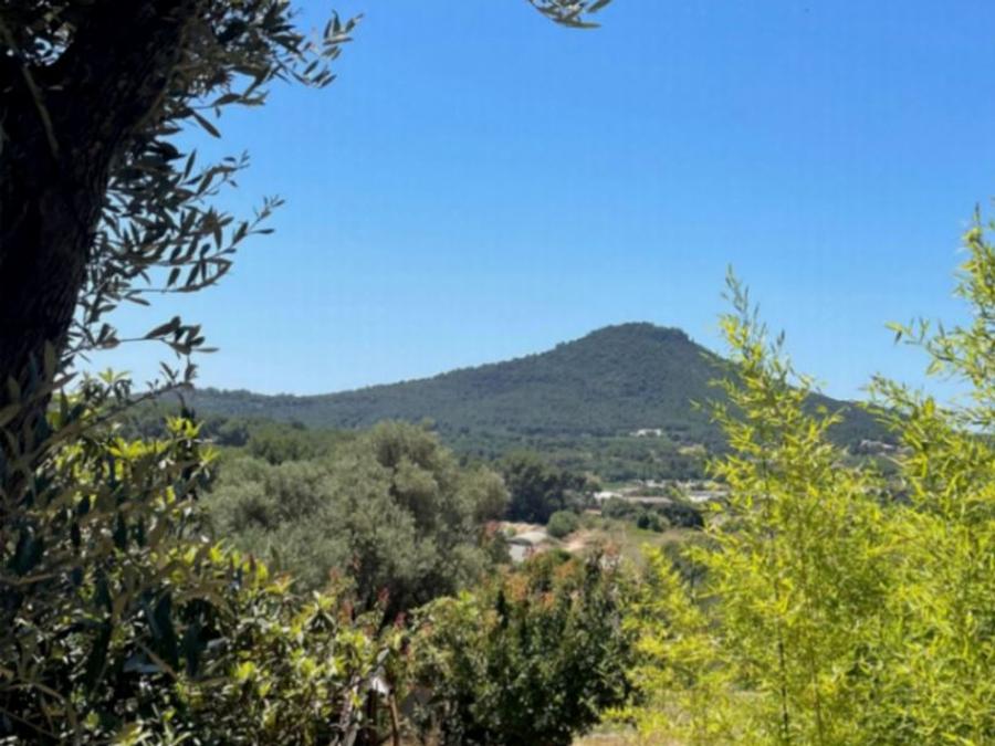 Mobilhome 5 personnes - NEW 2023 ! Cottage MAGNOLIA + jacuzzi 32m² (2 chambres) 14