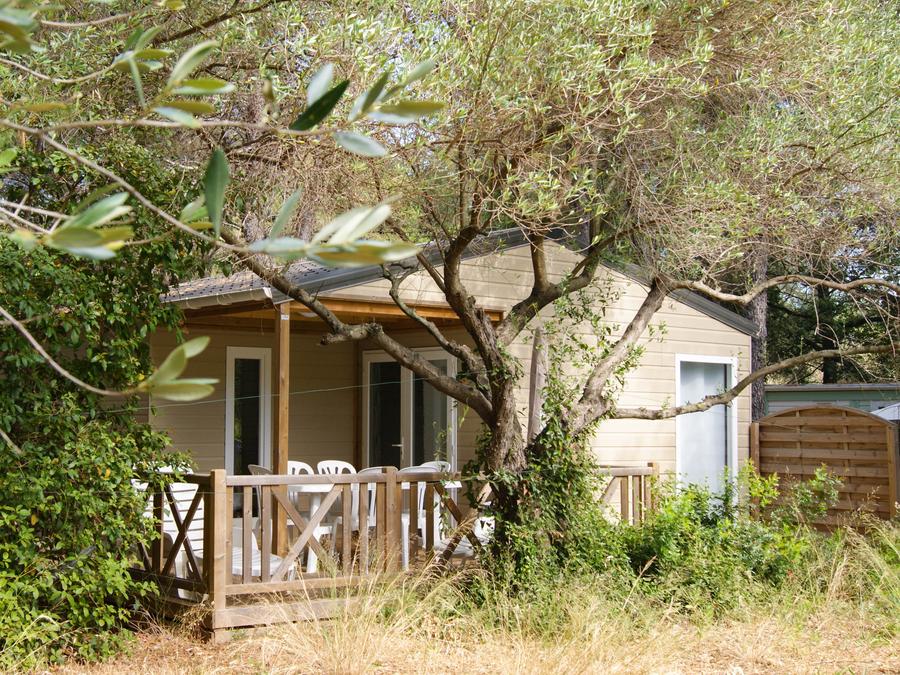 Chalet 8 personnes - Chalet VANILLE 32m² (3 chambres) 14