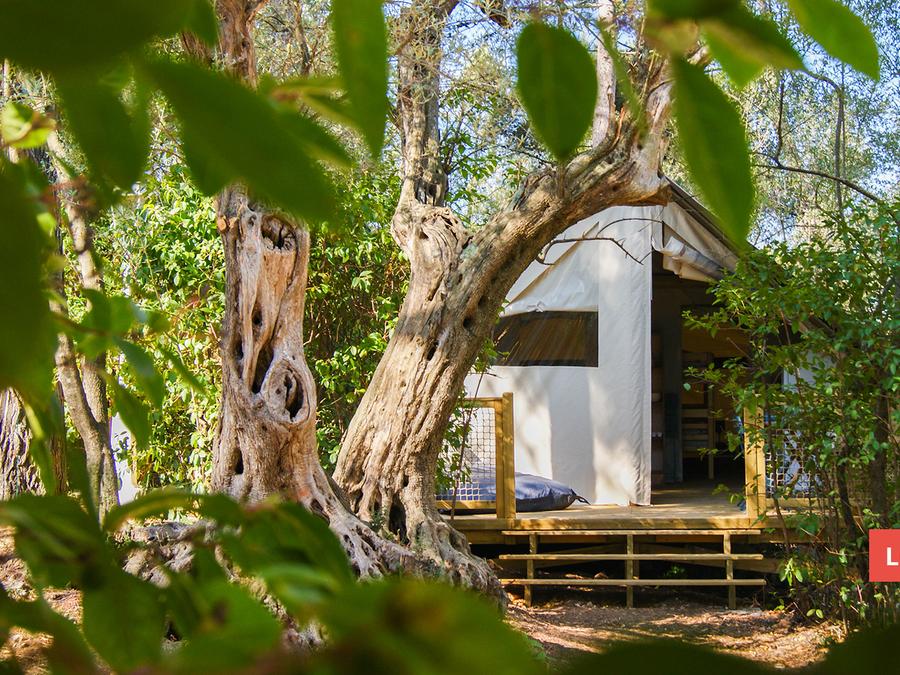 Lodge 5 personnes - Lodge CANNELLE 21m² (2 chambres) 0