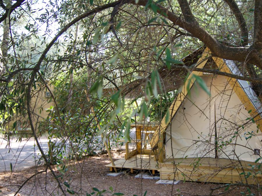 Lodge 2 personnes - Lodge MINI CANNELLE 6m² max 2 personnes 6