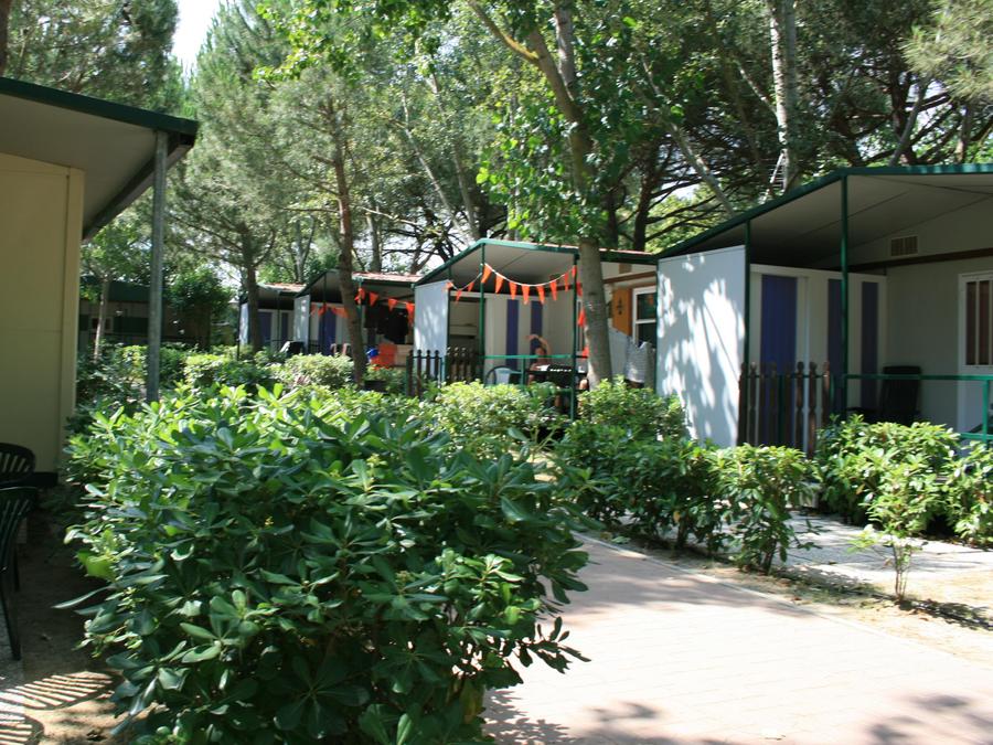 Chalet 6 personnes 7
