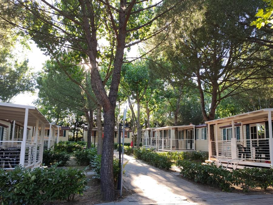 Mobilhome 6 personnes - GRAND 12
