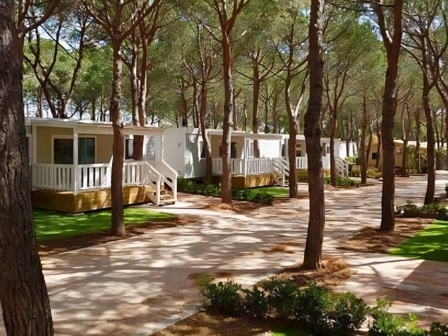 Lodge 4 personnes - Lodge Comfort Maremma 0