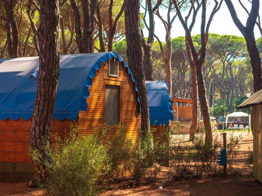 Hébergement 2 personnes - Woody Tent 4