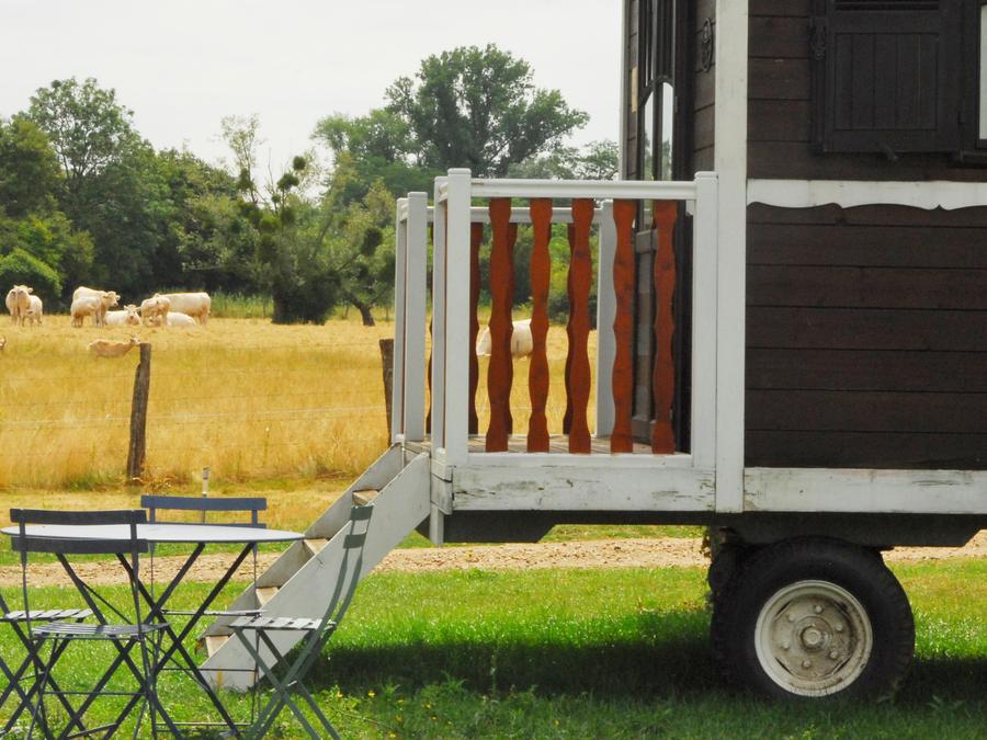 Insolite 5 personnes - Roulotte de campagne 6
