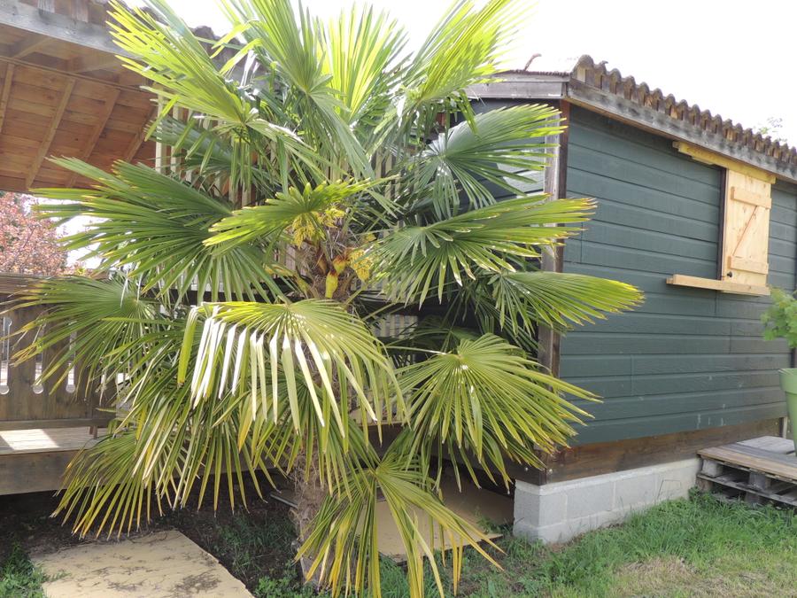 Chalet 6 personnes - NORMANDIE 2