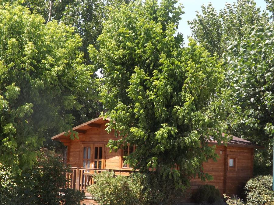 Chalet 4 personnes - 1 chambre 25m² 1