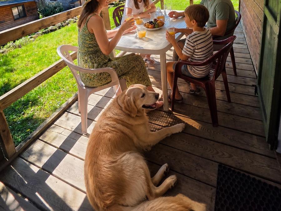 Chalet 5 personnes - ROMARIN basique + 8