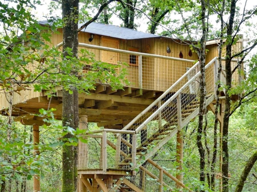 Hébergement 4 personnes - Maison dans les branches 0
