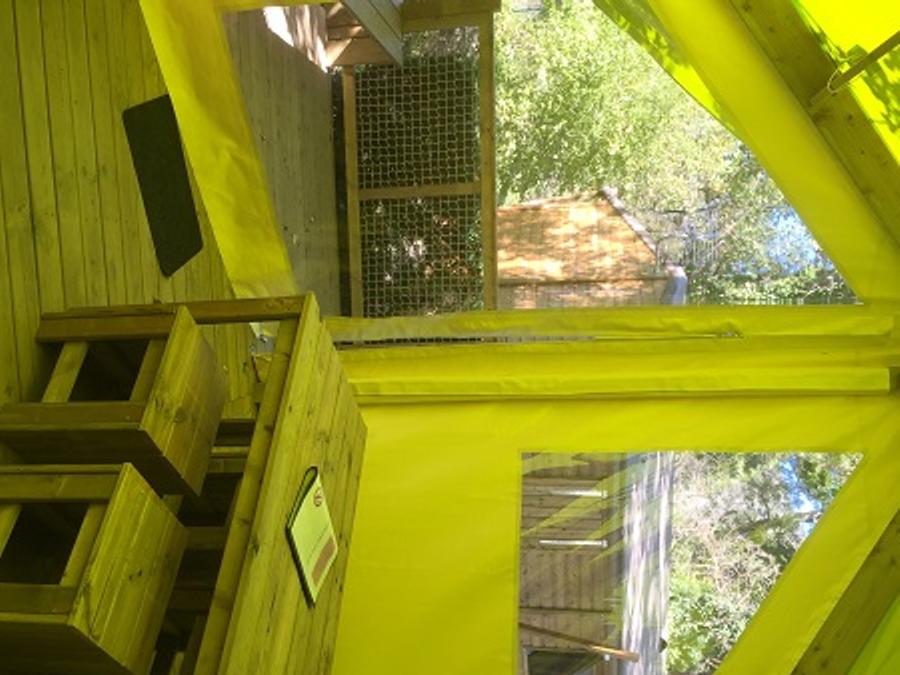Tente en toile et en bois 5 personnes - Ecolodge Junior 2