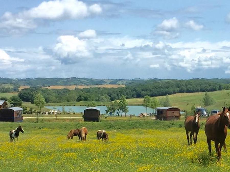 Hébergement 5 personnes - Roulotte Gîte 4/5 pers 11