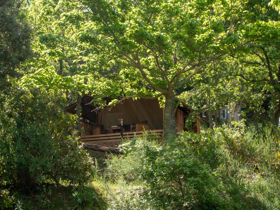 Lodge 4 personnes - Safari Lodge LUXE avec sanitaires 9