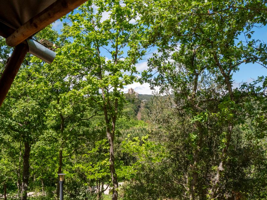 Lodge 4 personnes - Safari Lodge LUXE avec sanitaires 9