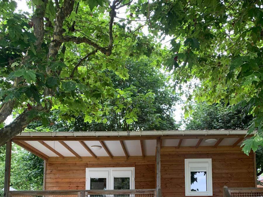 Chalet 4 personnes - 25m² / 2 chambres - Terrasse couverte 21