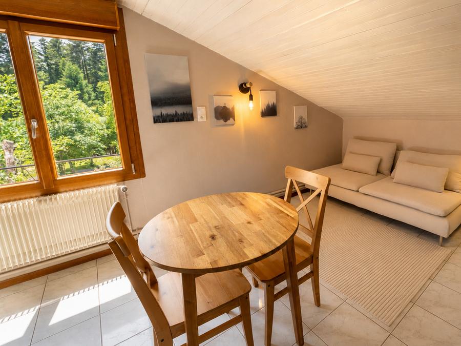 Studio 2 personnes - Standard TV 21