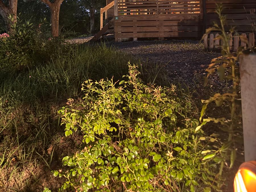 Chalet 6 personnes - BELHARRA 5/6 personnes - 3 chambres 20