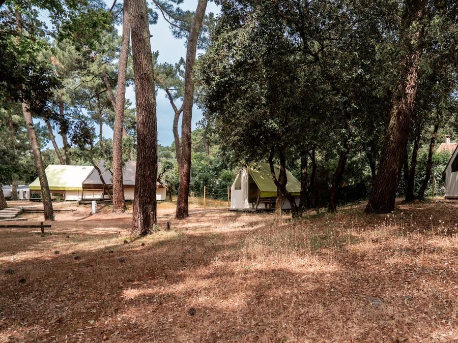 Lodge 4 personnes - Tente Écolodge Confort 17m² (2 chambres) - sans sanitaires 2