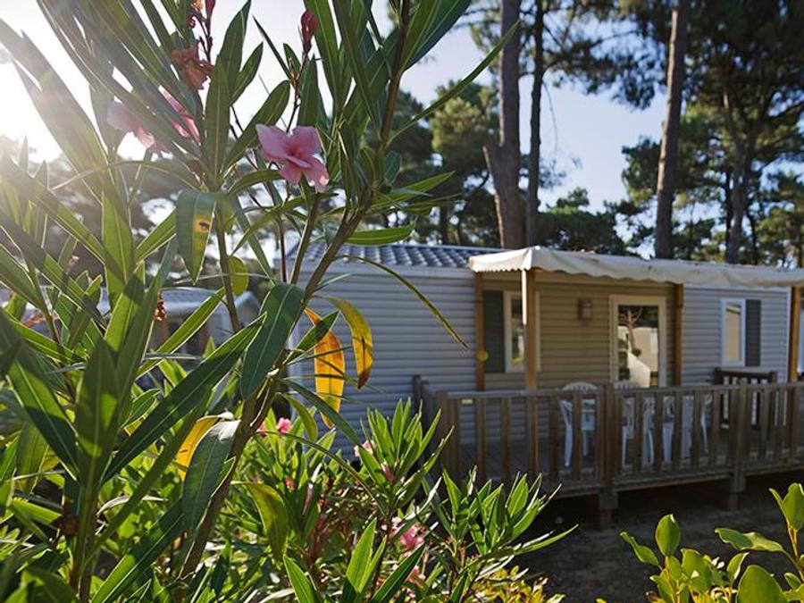 Mobilhome 4 personnes - Mobil-home Confort 27.5m² (2 chambres) + terrasse bois semi-couverte 11m² 2