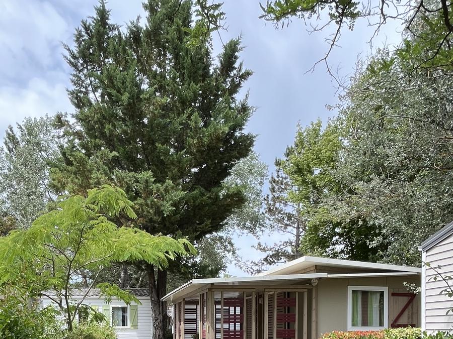 Chalet 5 personnes - Chalet CONFORT PLUS 5 - 2 chambres (34m²) 0