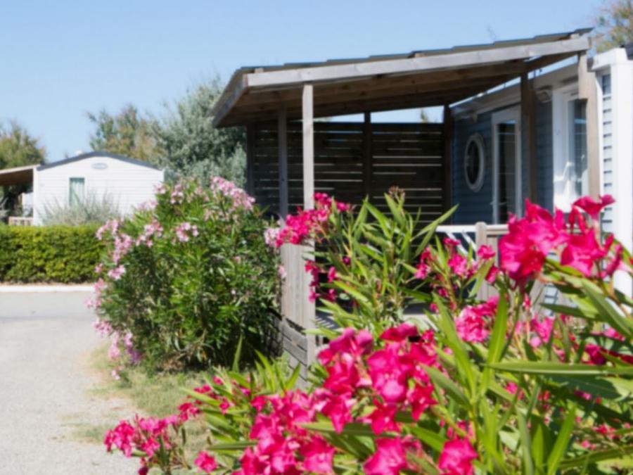 Mobilhome 2 personnes - SUNELIA CONFORT DUO 8