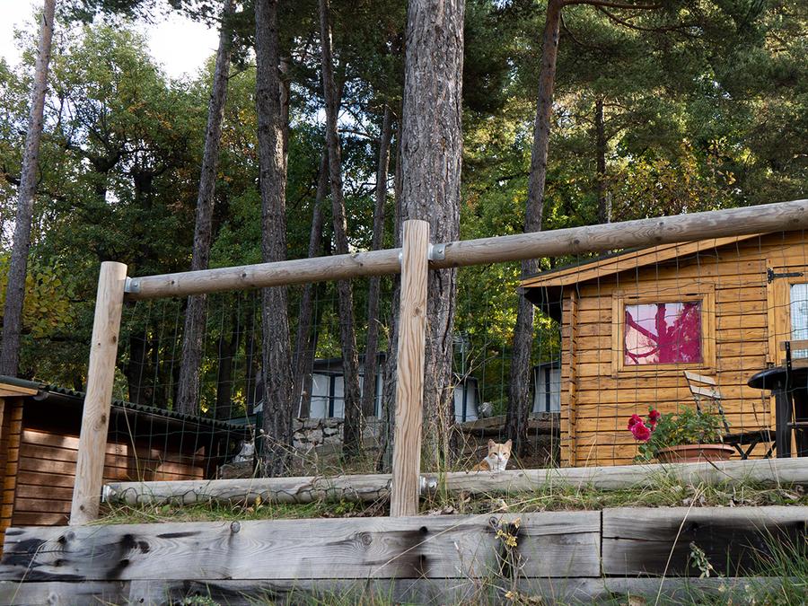Tiny house 2 personnes - Wooden Cabin Pedraforca 0