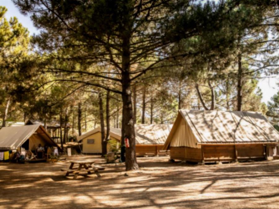 Tente en toile et en bois 4 personnes - Tente Lodge - Sans sanitaires - arrivée le samedi en haute saison 5