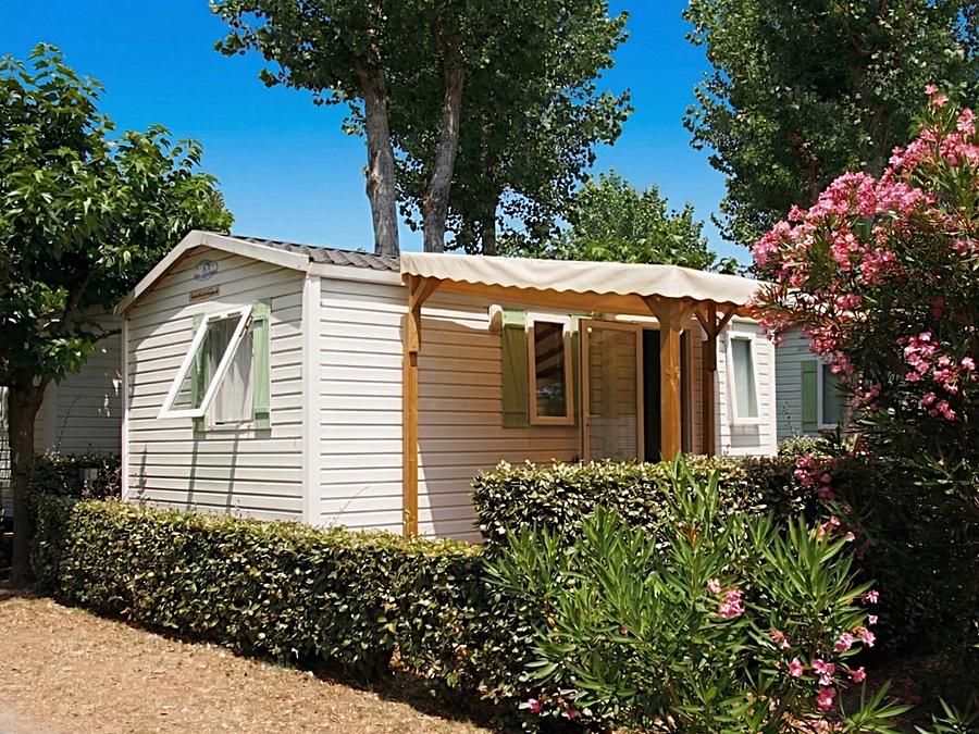 Mobilhome 4 personnes - COCOON - TV 0