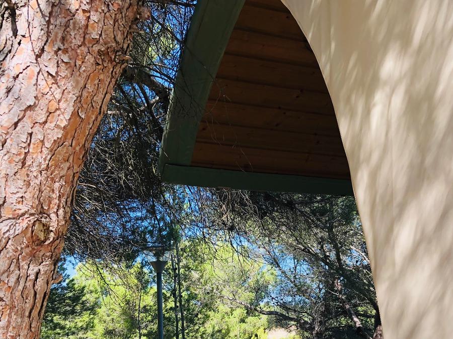 Insolite 2 personnes - ROULOTTE INSOLITE Vue Réserve - Draps, serviettes et ménage inclus 1