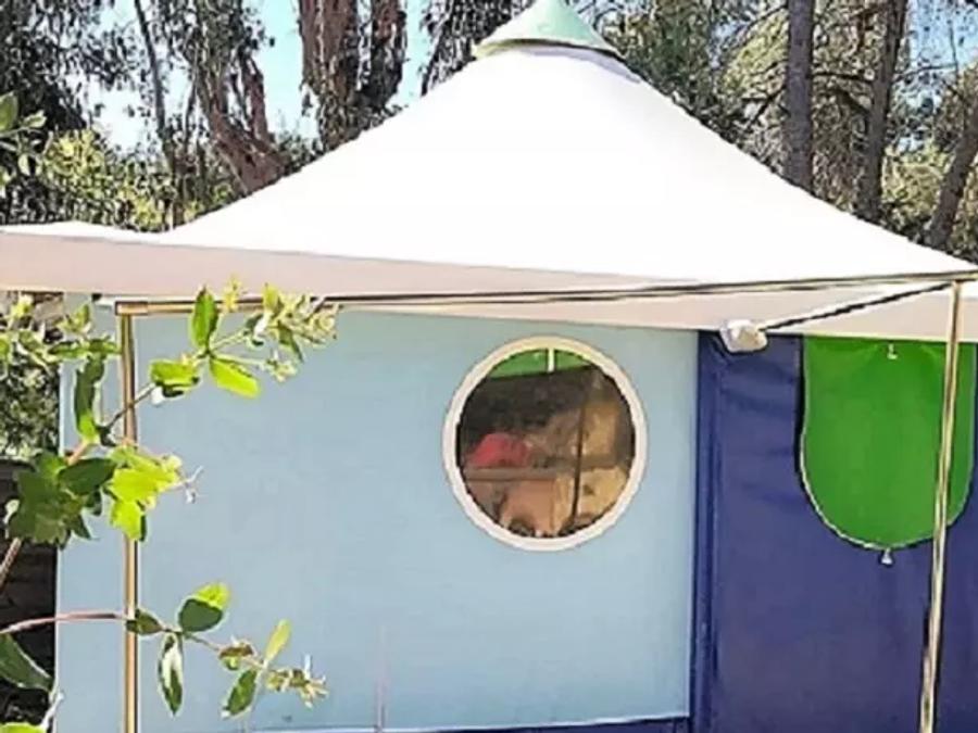 Bungalow toilé 5 personnes - Bungalow toilé 3 pièces 5 personnes - Sans sanitaires 0