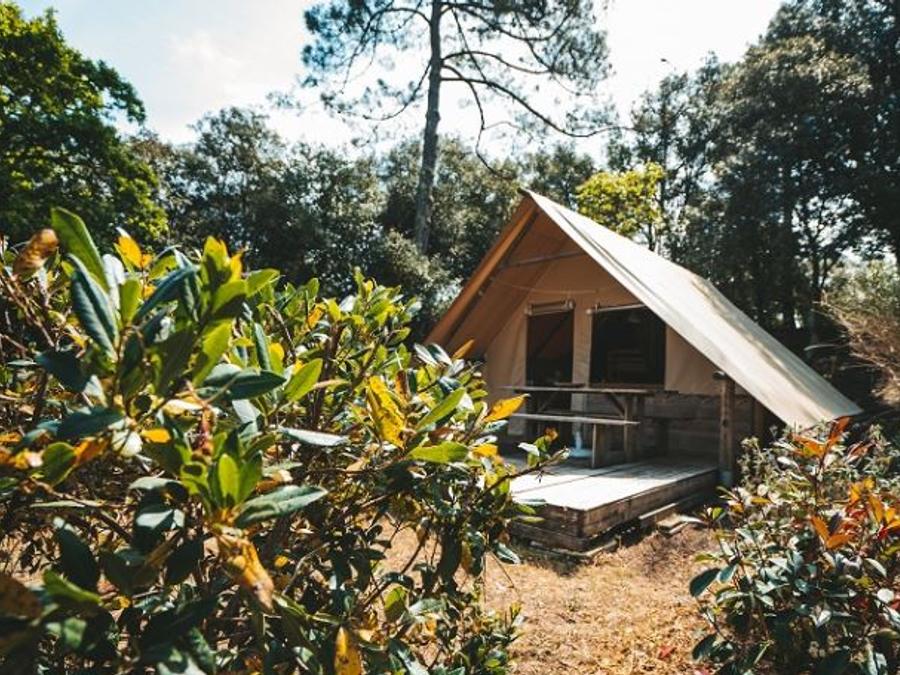 Bungalow toilé 4 personnes - Cabane Amazone (sans sanitaires) 8