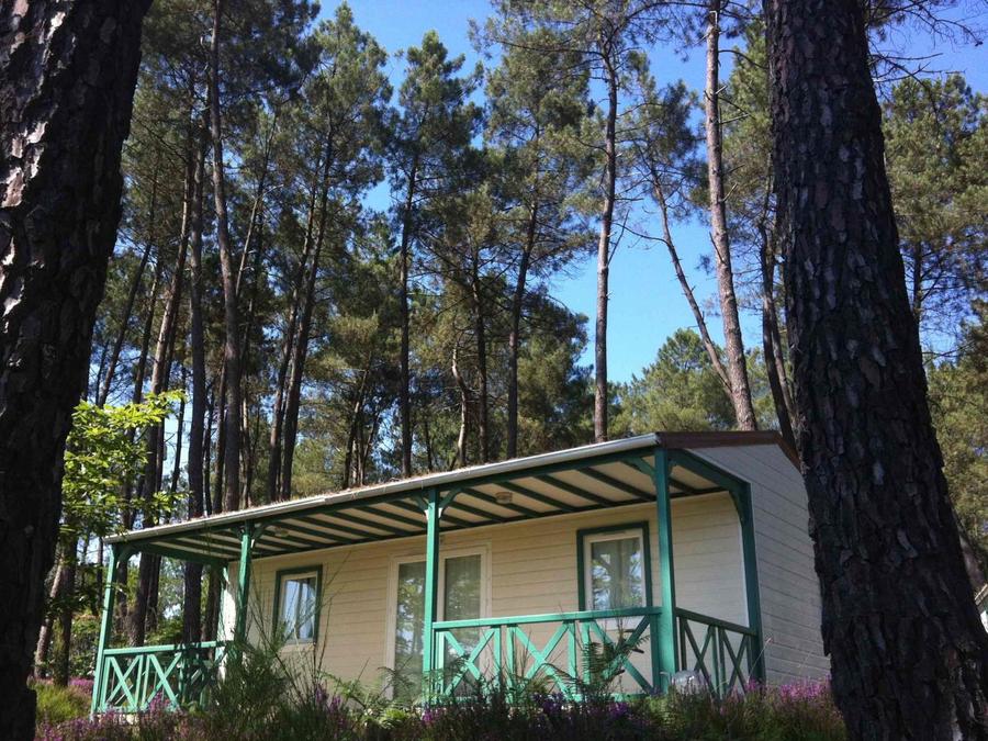 Chalet 6 personnes - CHATAIGNIER CONFORT AVEC CLIMATISATION 2