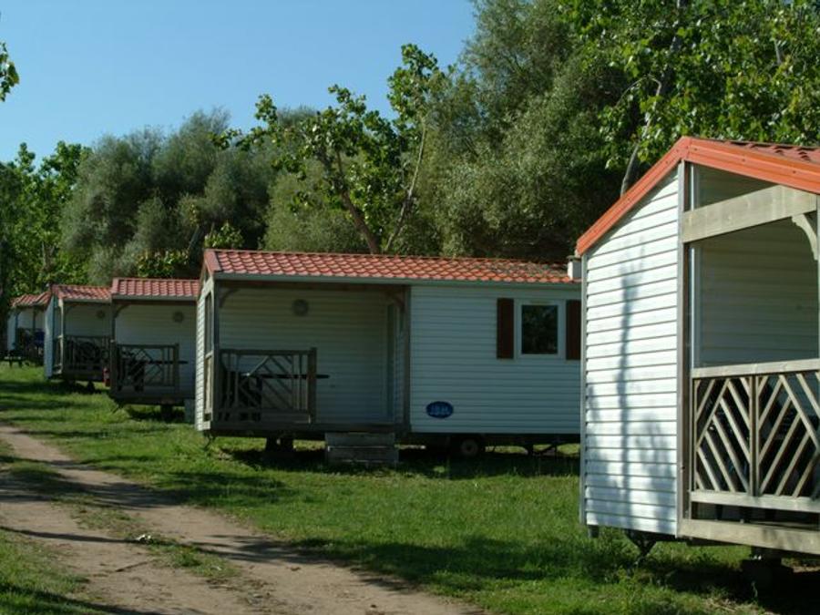 Chalet 4 personnes - Chalet Mobil Loggia 4 Places 4