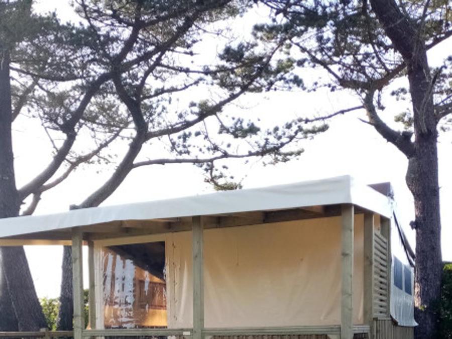 Bungalow 5 personnes - BUNGALOW LODGE Océan 27 m² 2 chambres 2022 - sans sanitaire privatif 3