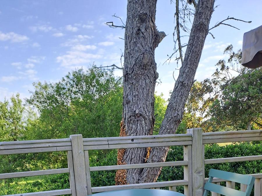 Insolite 2 personnes - Cabane sur pilotis Campétoile 10 m² 1 chambre 2019 (sans sanitaires privatifs) 1