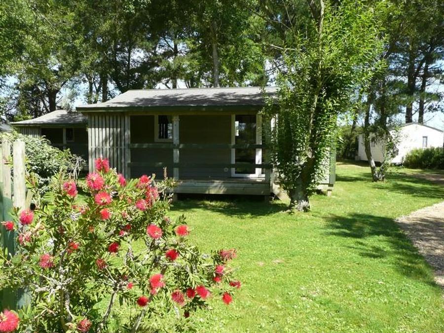 Chalet 5 personnes - Chalet L 'ABEILLE 2 chambres 29m² 2002 4
