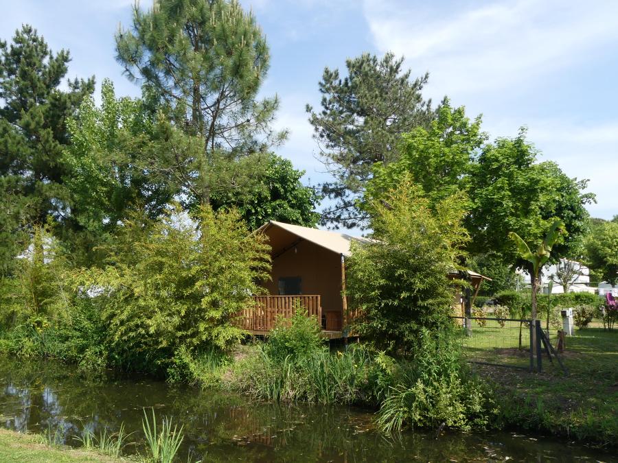 Tente 6 personnes - Tente Woody PREMIUM 0