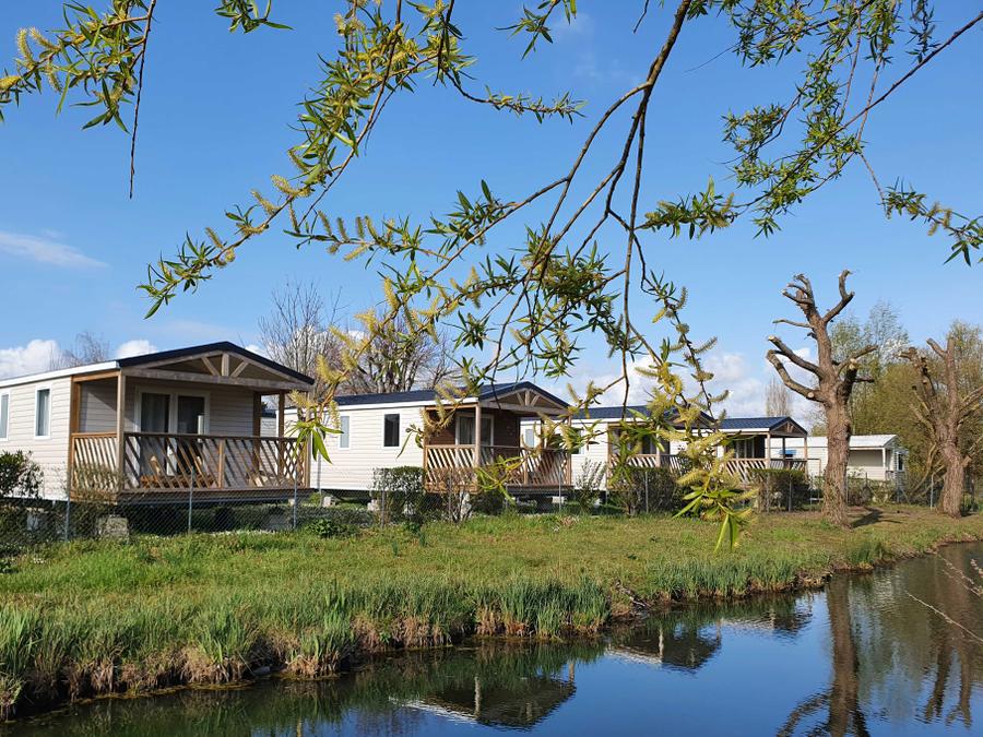 Mobilhome 4 personnes - Mobil Home Premium 25m² - 2 chambres + terrasse couverte + TV + Lave-vaisselle 2/4 pers 1