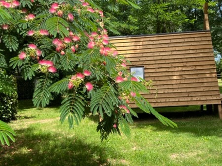 Hébergement 2 personnes - Cabadienne - Tente bois 6 m² 11