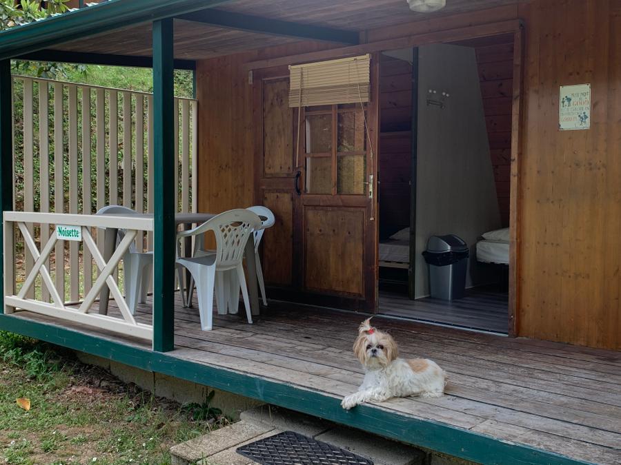 Chalet 2 personnes - Camp'Nature+ sans sanitaires 20m² 1