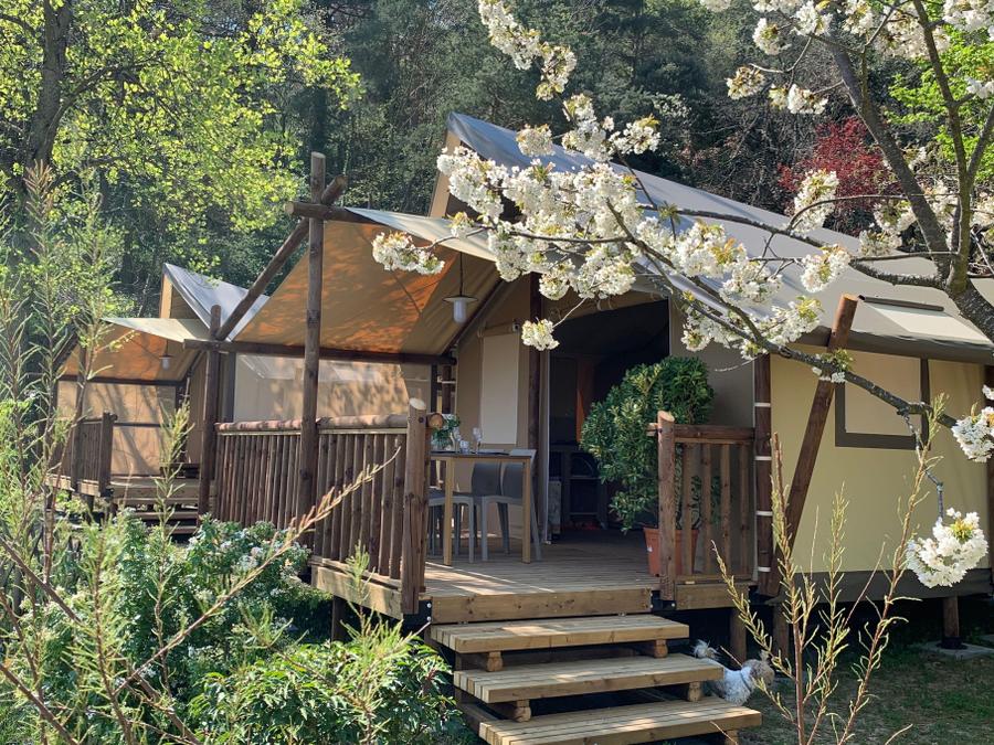 Bungalow toilé 5 personnes - Lodge 31 m2 sans sanitaires ni douche (Toilettes privatifs derrière Bungalow) 0