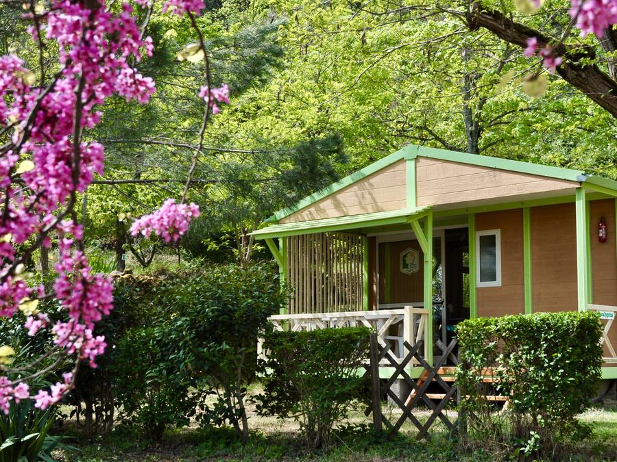 Chalet 5 personnes - Chalet n°2 ter Club 33 m2 tout confort avec TV 0
