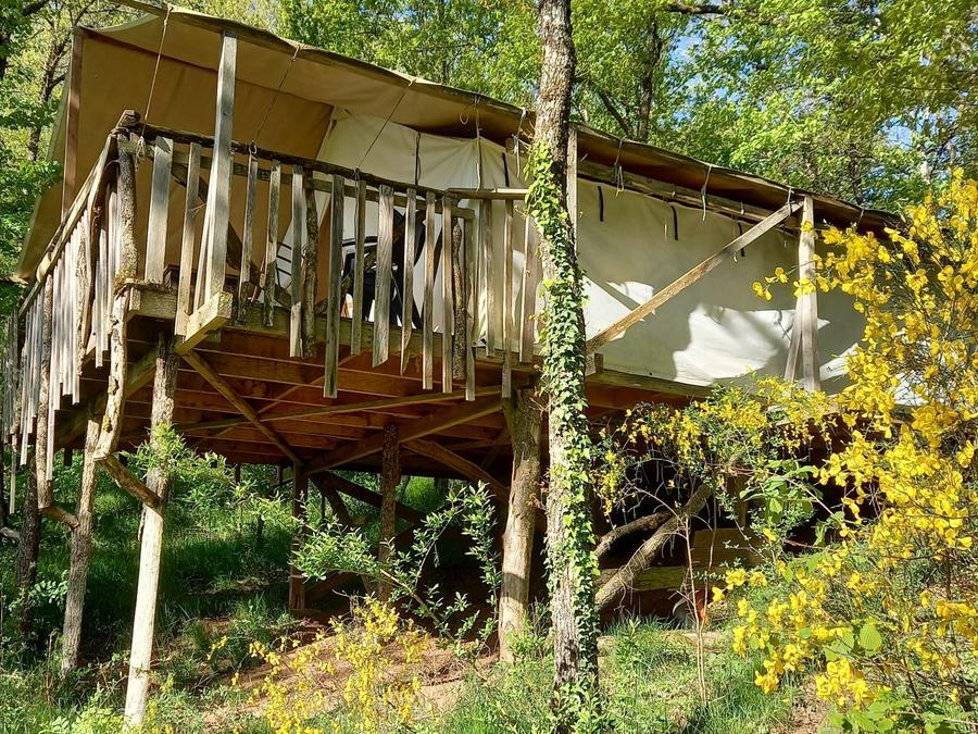 Tente 4 personnes - Tentes forestières - Zone Forêt 0