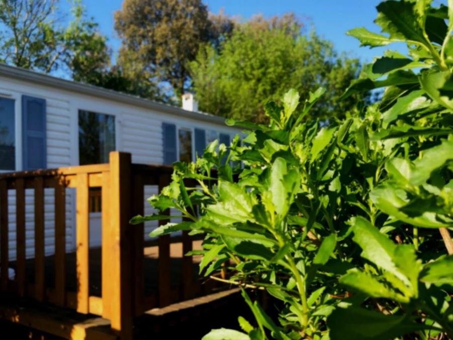Mobilhome 4 personnes - Gamme roseau ( à la NUITEE) 1