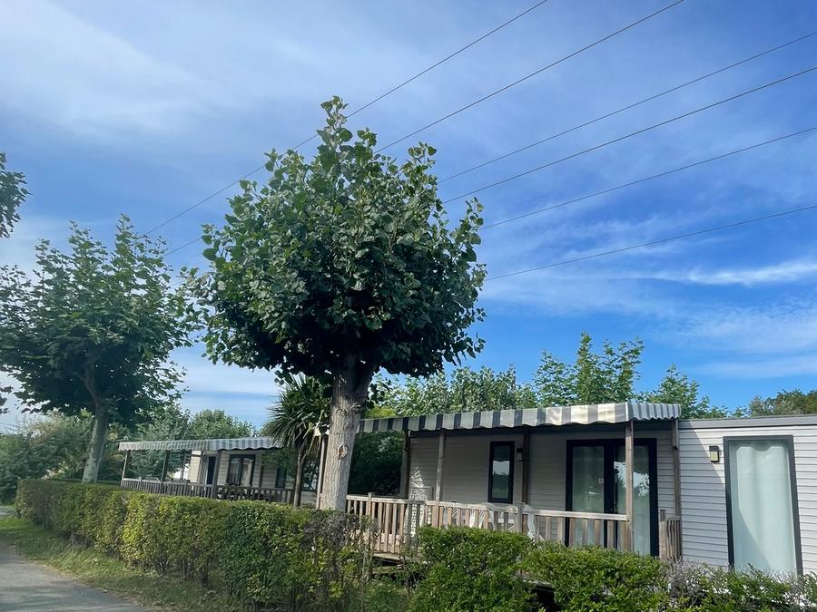 Mobilhome 6 personnes - Vert bois 0