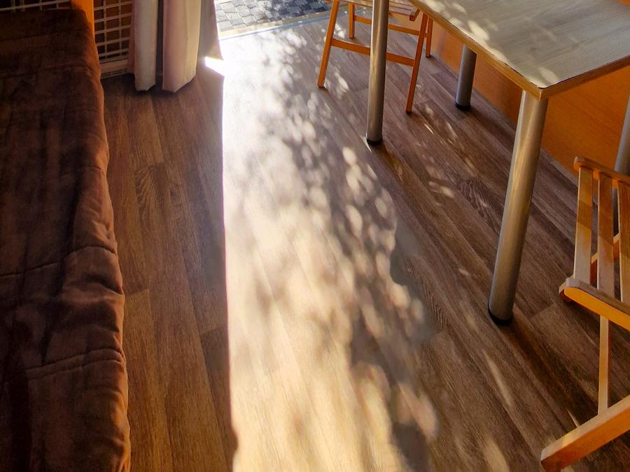 Hébergement 3 personnes - Roulotte 21m² 1 chambre + terrasse semi-couverte 7