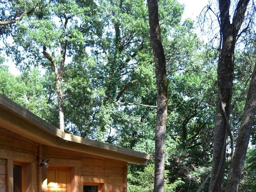 Lodge 6 personnes - Lodge Cocoon tout confort (PMR) 9