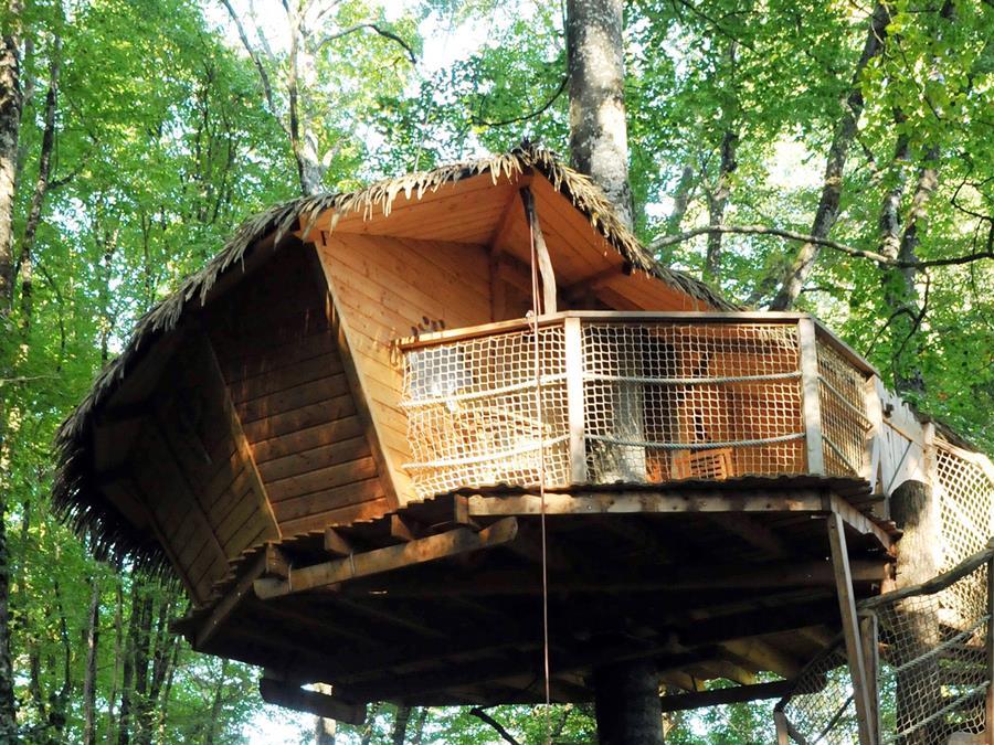 Hébergement 3 personnes - Cabane dans les arbres - Pêcheur 3
