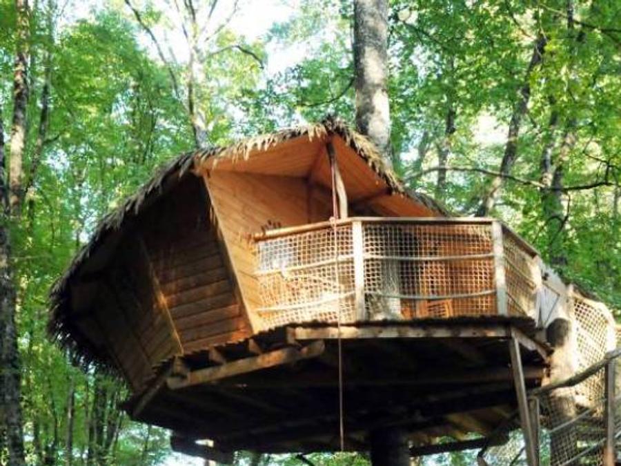 Hébergement 3 personnes - Cabane dans les arbres - Pêcheur 0
