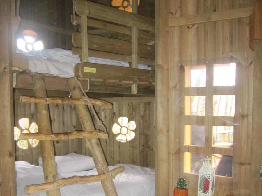 Hébergement 5 personnes - Cabane dans les arbres - Cabane des Lutins 3