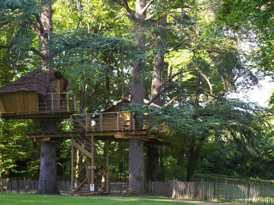 Hébergement 6 personnes - Cabane dans les arbres - Ouistitis 1